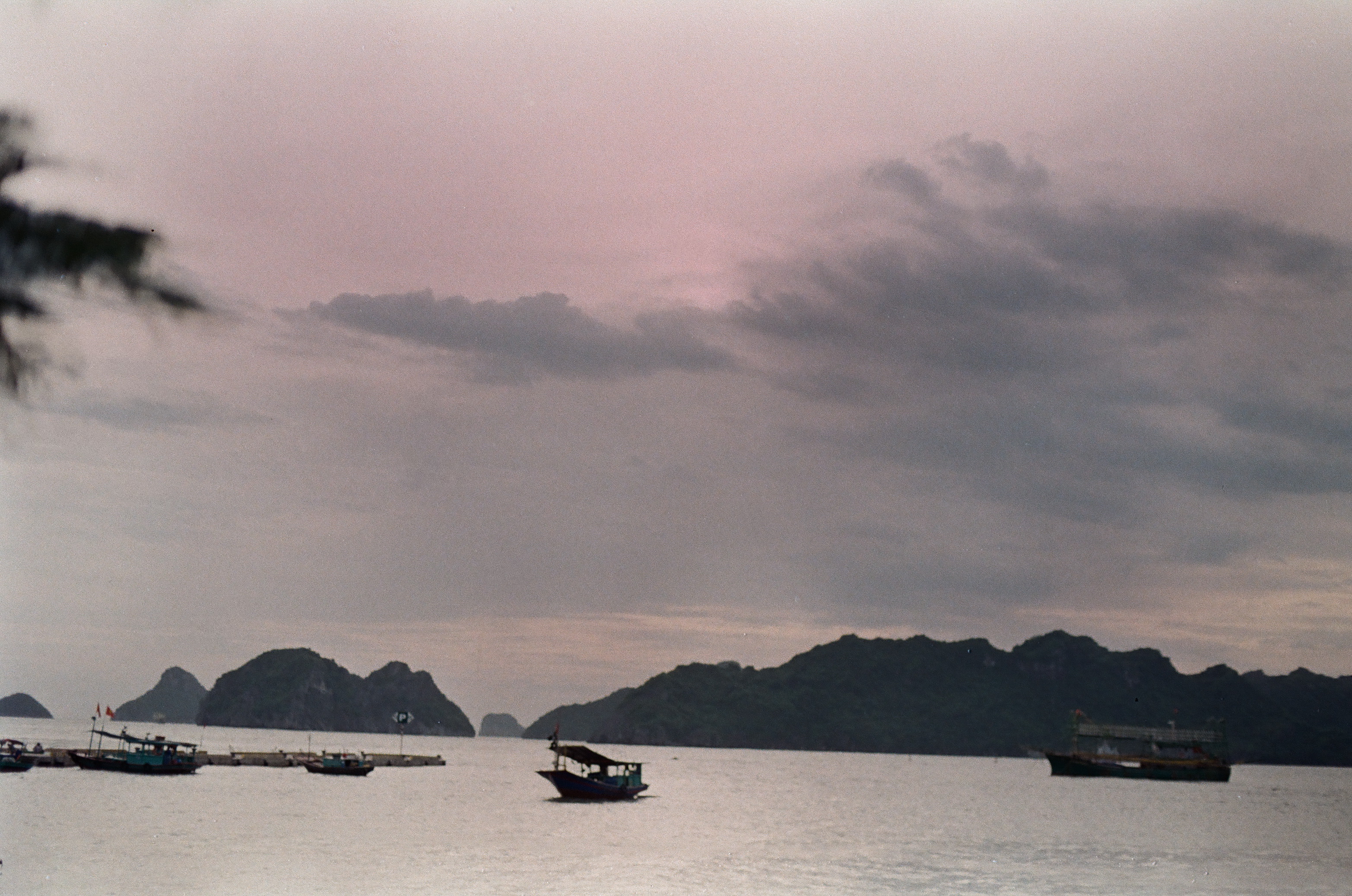 Ảnh bìa