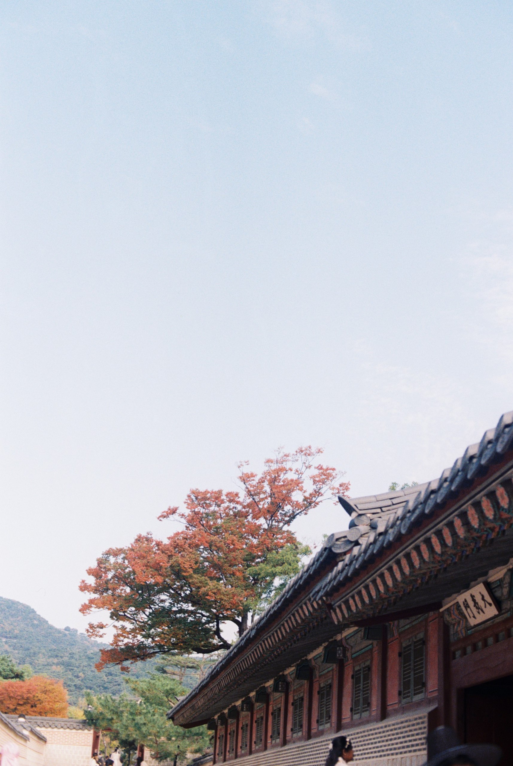 Seoul nè